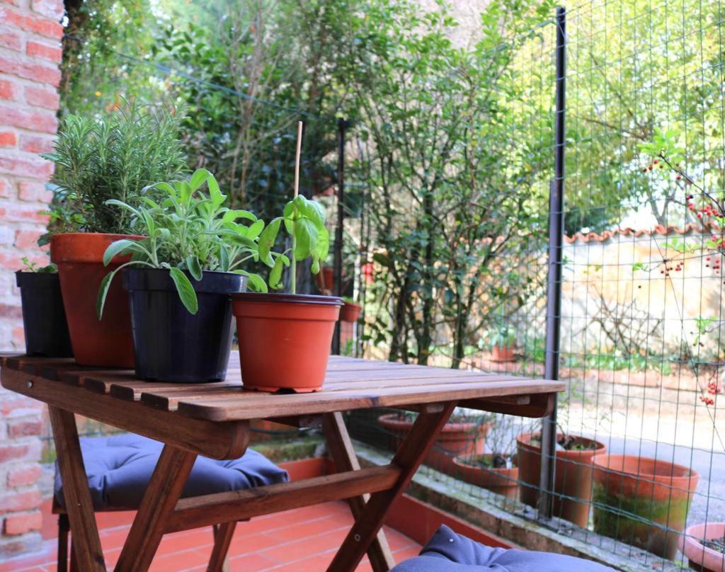 La Casa Dei Nonni Lägenhet Pino Torinese Exteriör bild